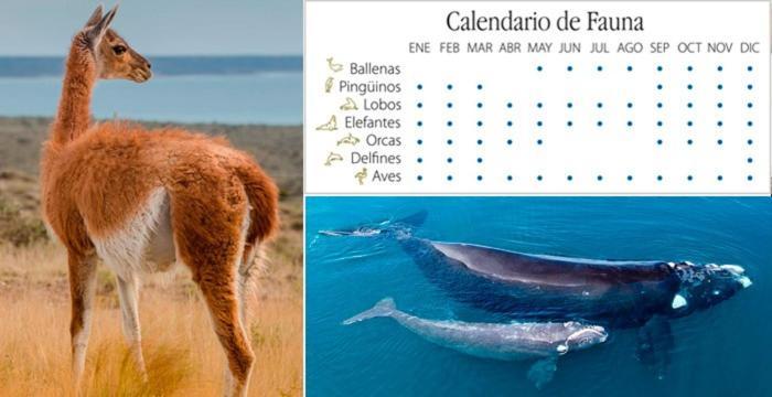 A La Meseta Leilighet Puerto Madryn Eksteriør bilde